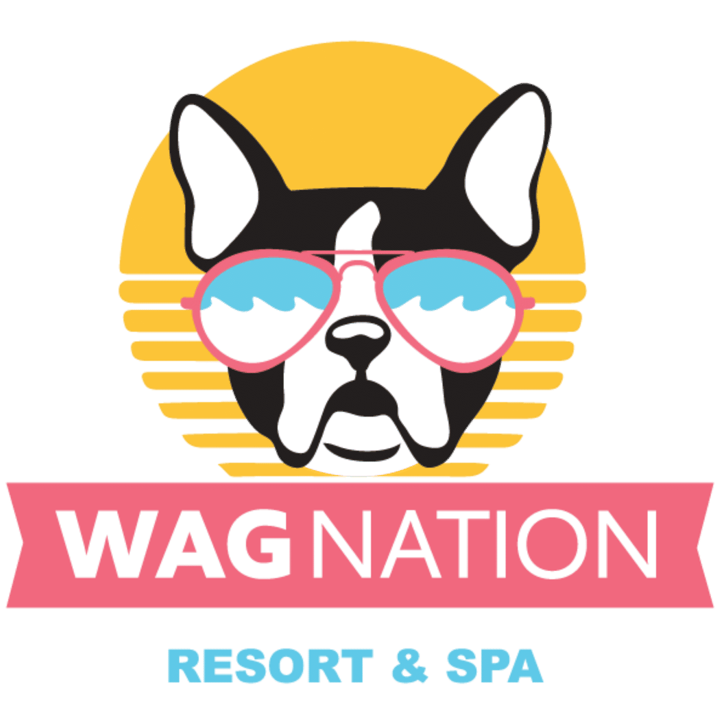 Wag Daycare - Specialized Small Dog Program