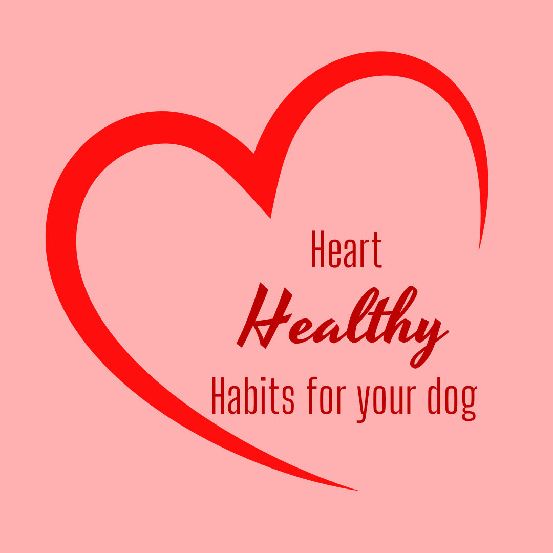 Heart Healthy Habits for your Dog