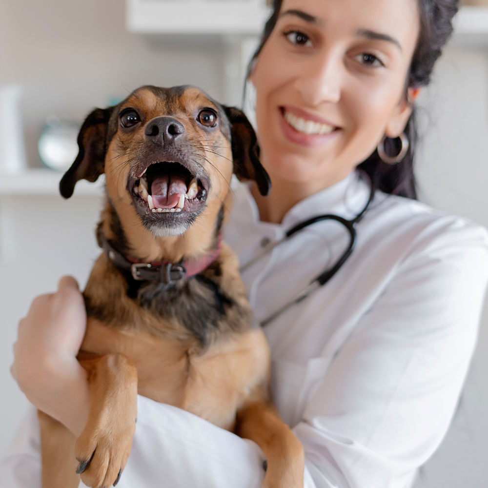 Image of Local Pet Event VIP Petcare Vaccination Clinic Nearby