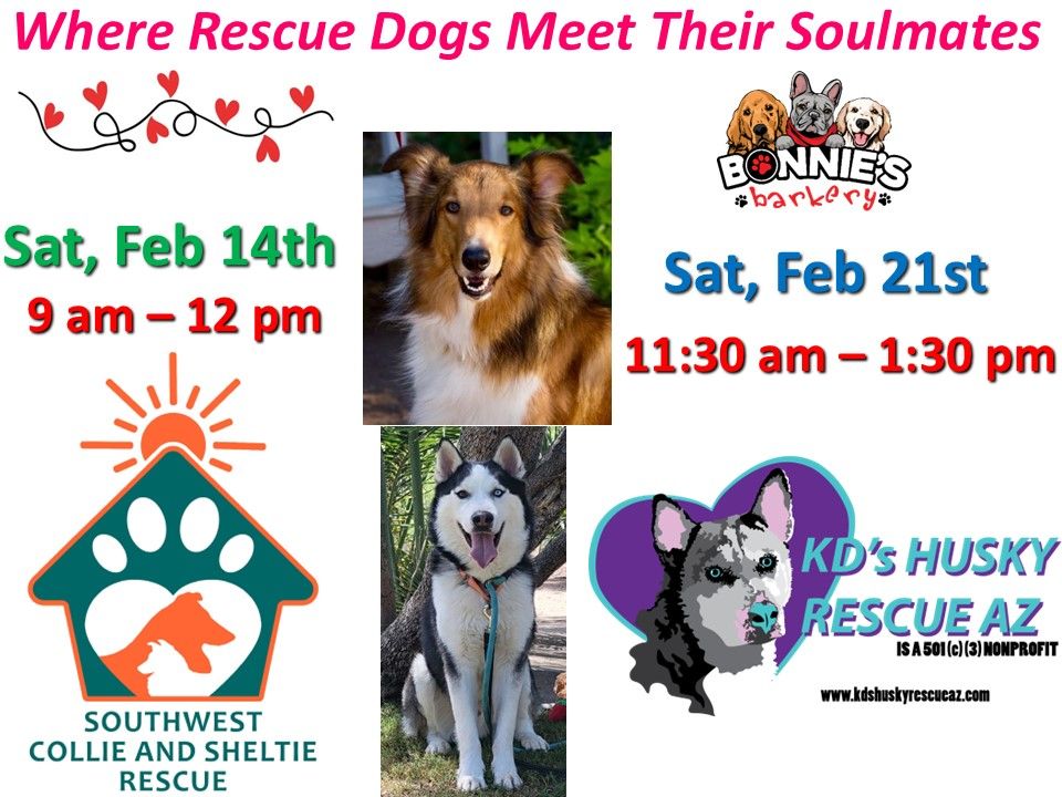 Two Weekends of Rescue Love & Adoption at Bonnie’s Barkery!!!