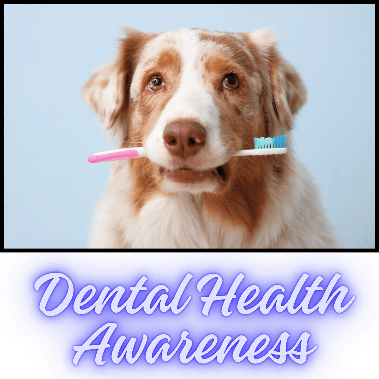 February is Dental Health Awareness Month