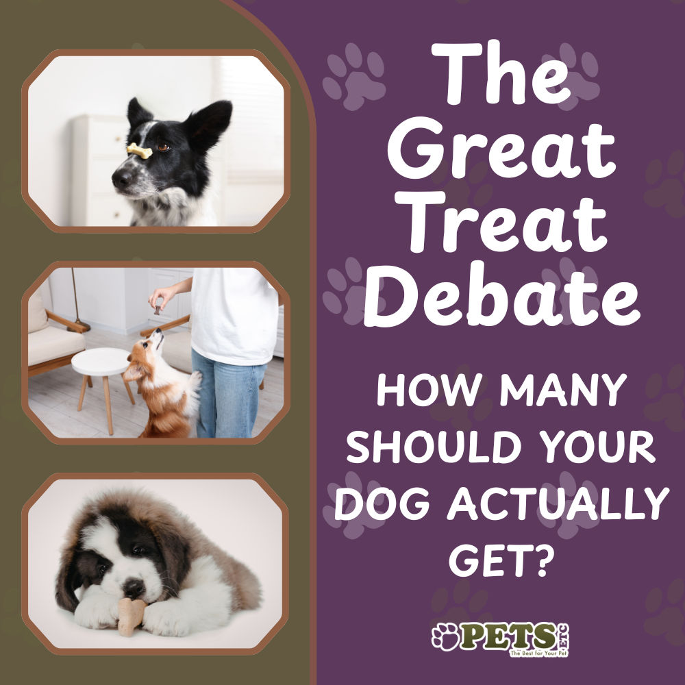 The Great Treat Debate: How Many Should Your Dog Actually Get?
