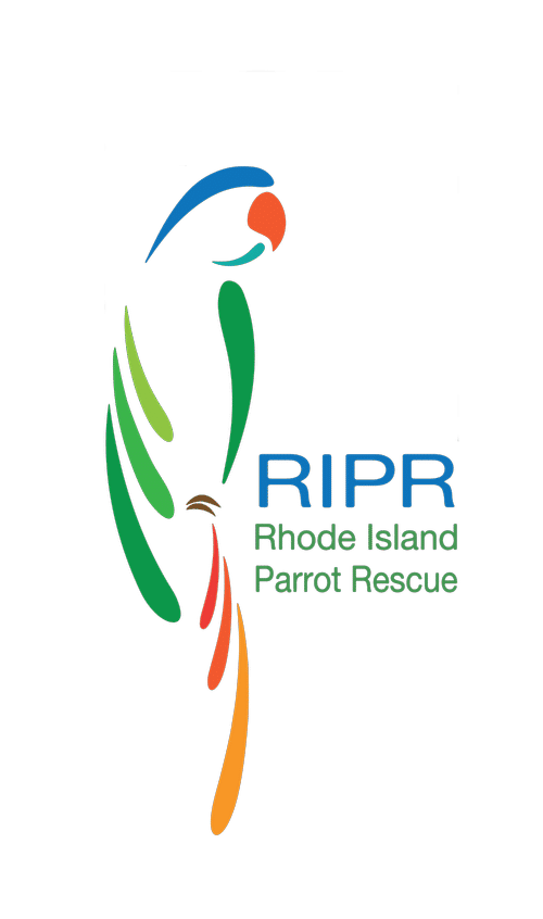 Image of Local Pet Event Rhode Island Parrot Rescue Nearby