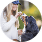 Dog Training