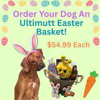 Image of Order An Ultimutt Easter Basket Promotion in Tewksbury