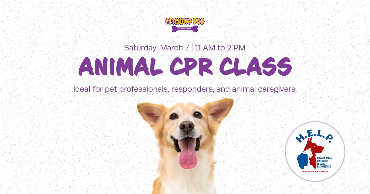 Image of Local Pet Event Animal CPR at Fetching Dog with H.E.L.P. Nearby