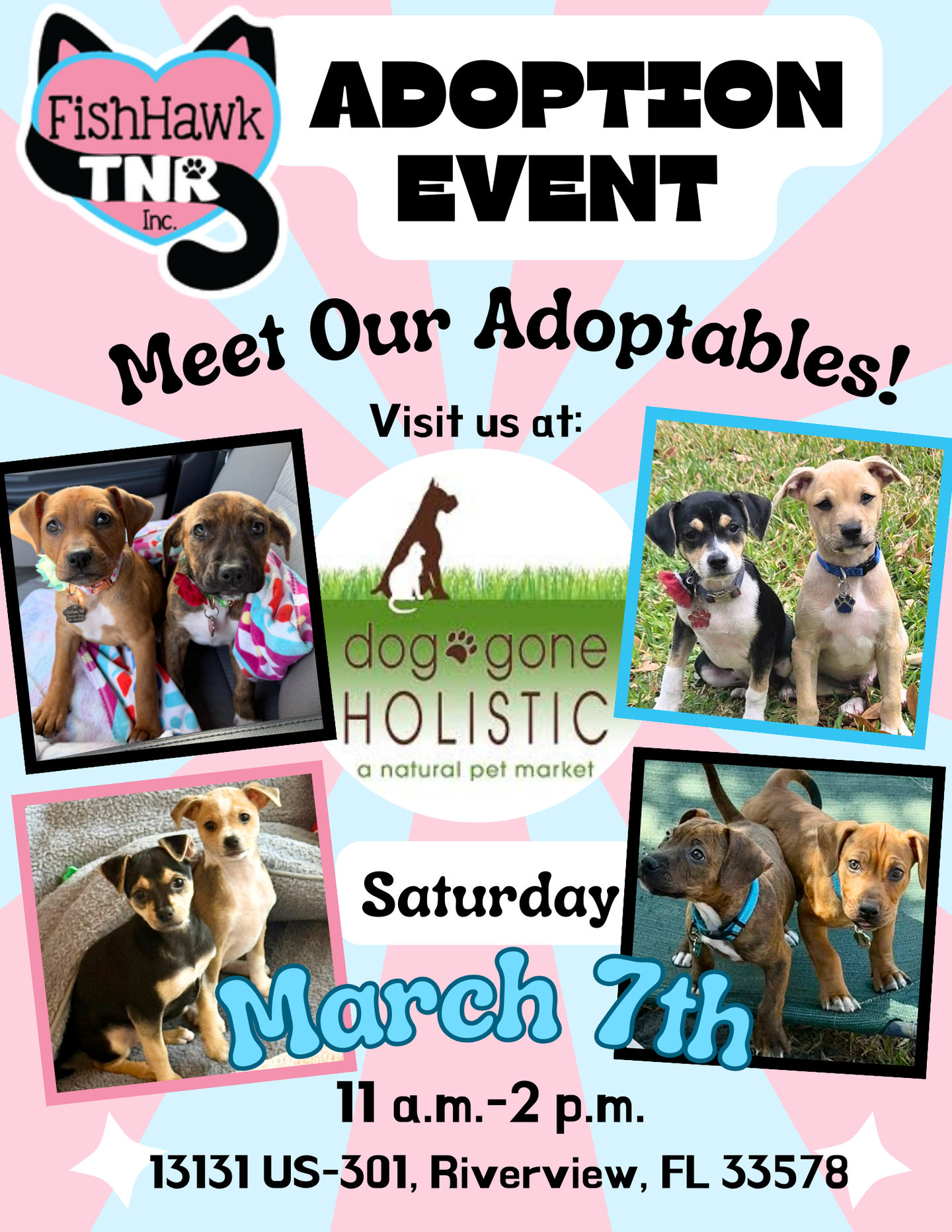 Image of Local Pet Event Dog Adoption Event with FishHawk TNR Pet Rescue Nearby