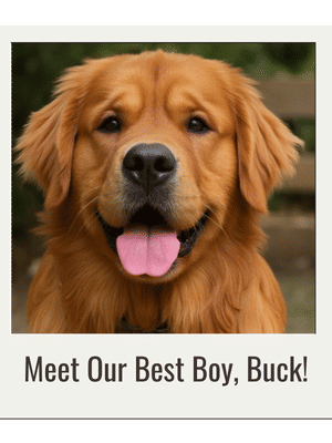 Love's Pets Storefront