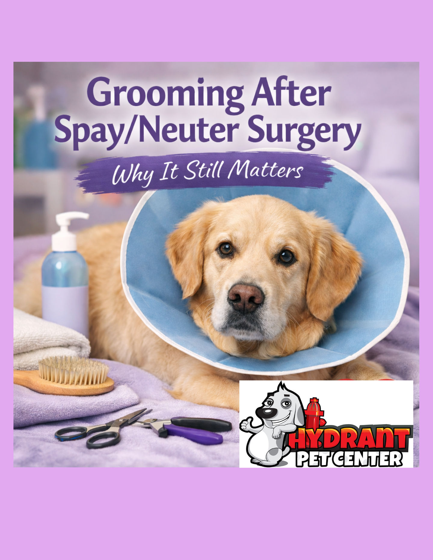 National Spay Day: Why Grooming Still Matters After Surgery