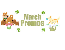 Image of March Promotions 2026 Promotion in Portland