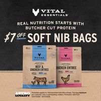 Image of Vital Essentials | $7.00 OFF 12oz Freeze-Dried Cat Soft Nibs Promotion in Dunedin
