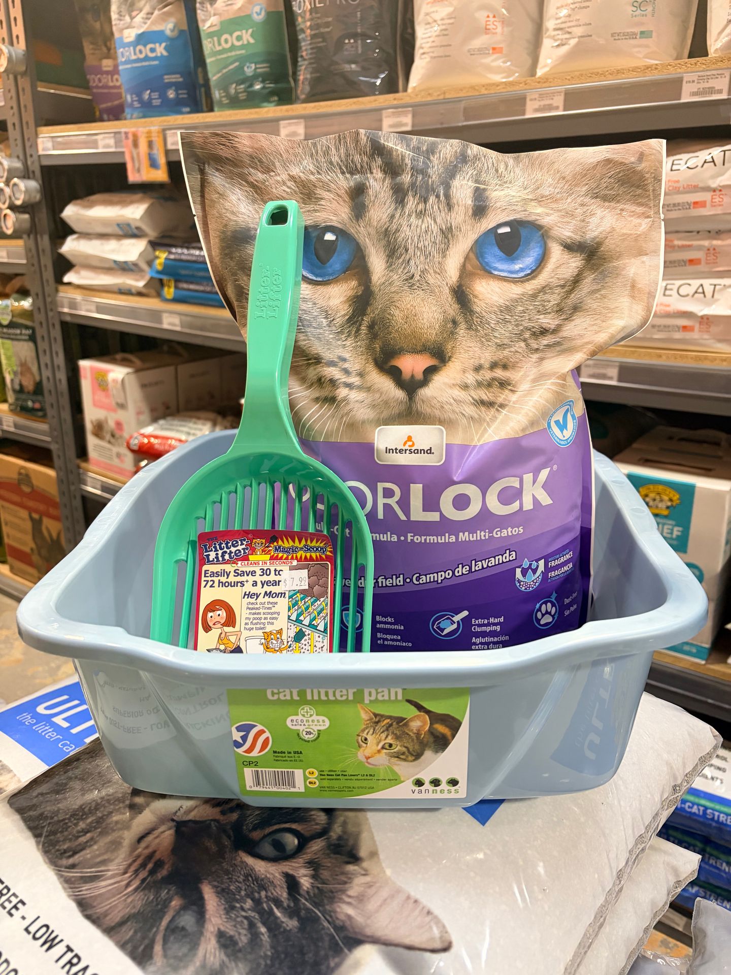 How often should you clean your cat's litterbox?