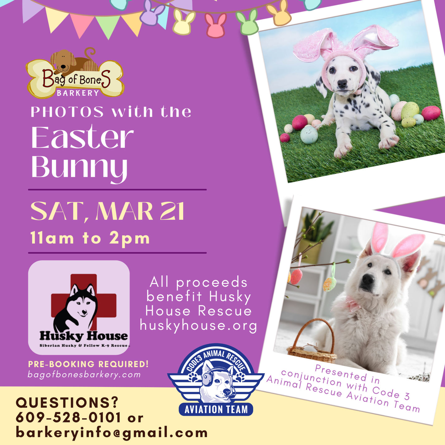 Image of Local Pet Event Photos w/the Easter Bunny Nearby