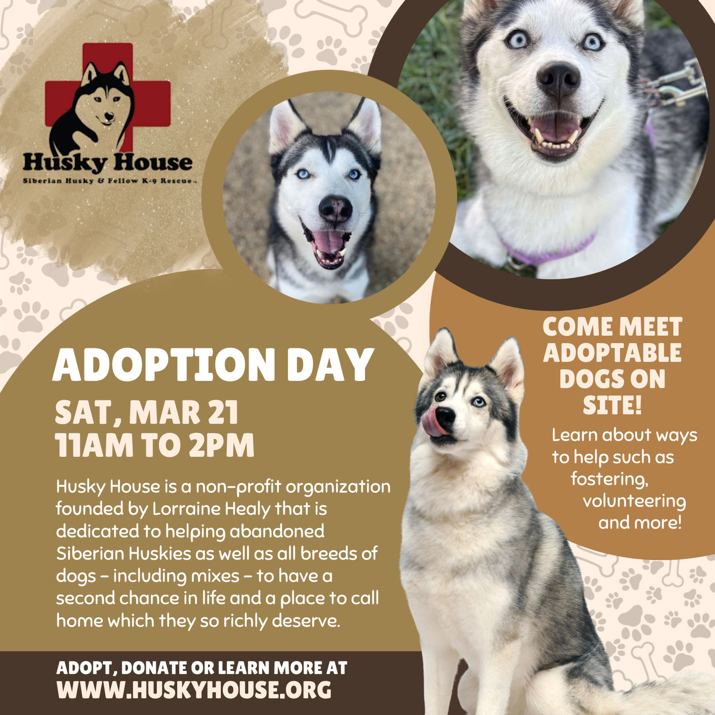 Image of Local Pet Event Husky House Adoption Day Nearby