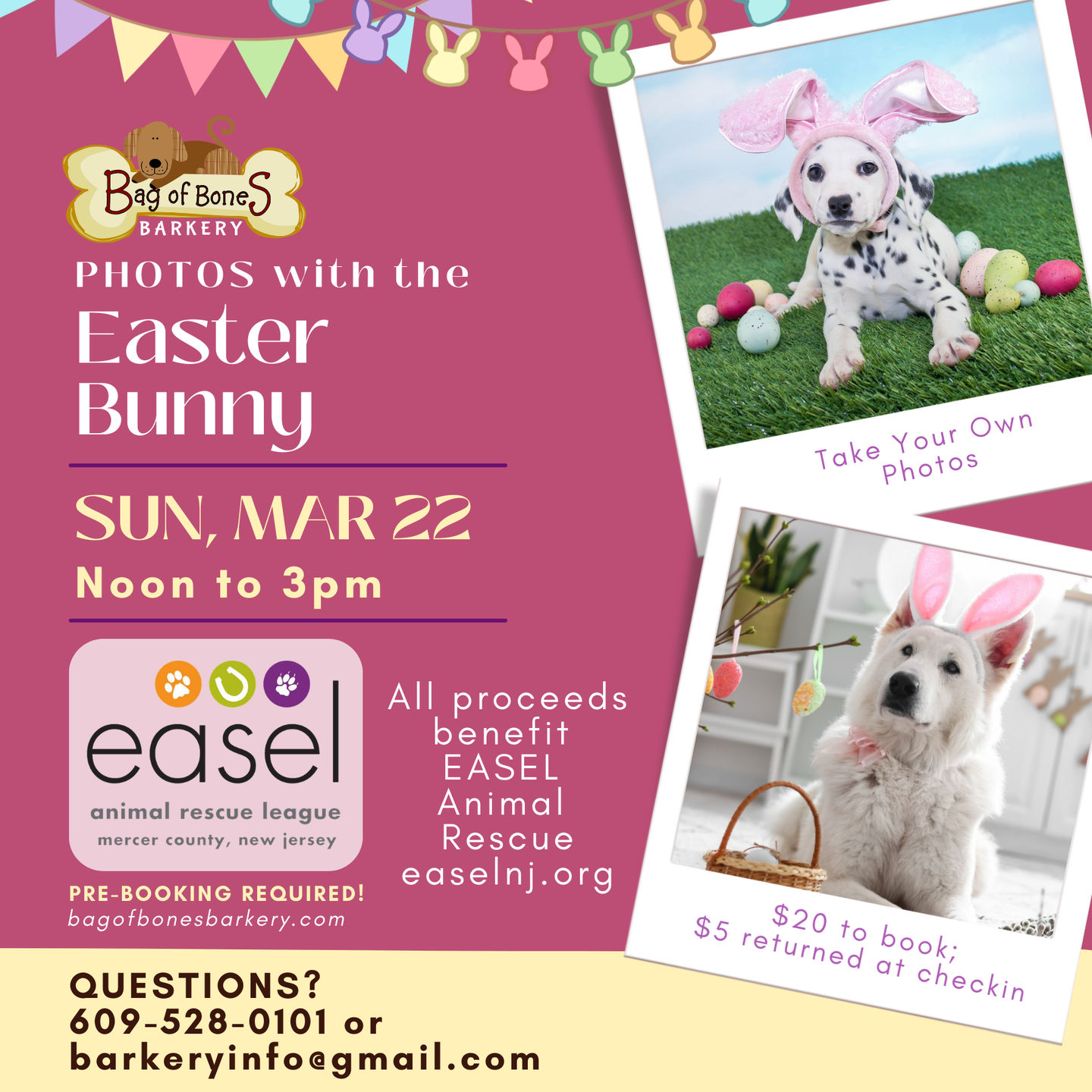 Image of Local Pet Event Photos w/the Easter Bunny Nearby