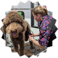 Dog Grooming