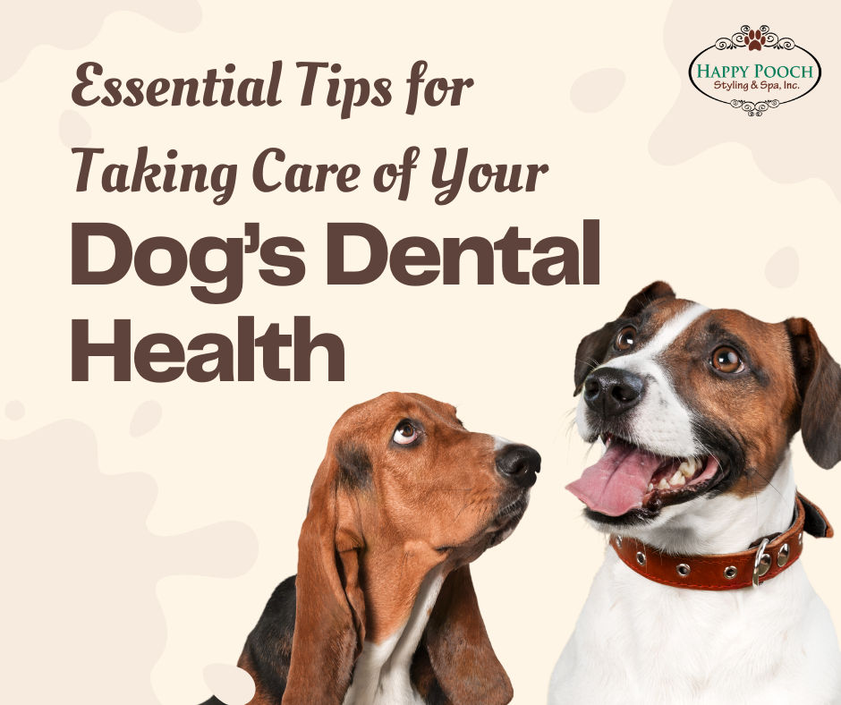 Essential Tips for Taking Care of Your Dog’s Dental Health
