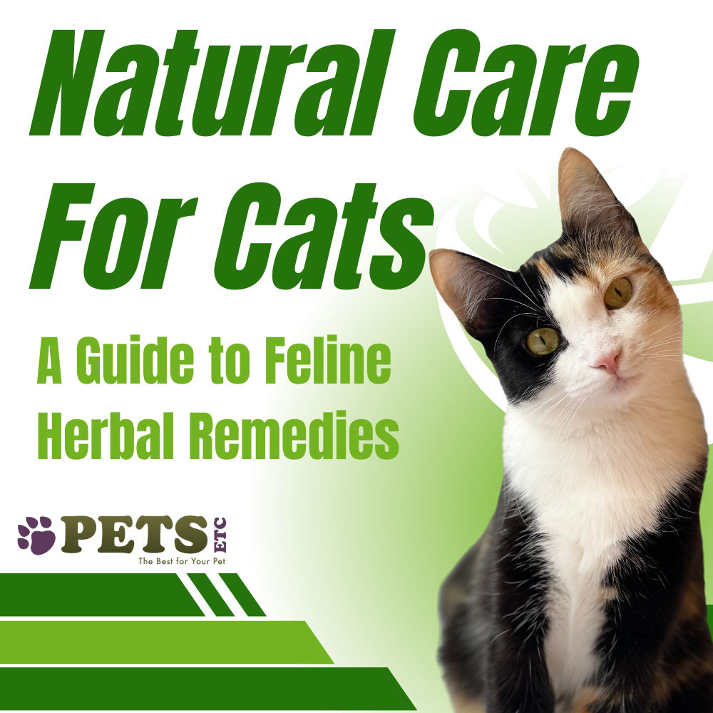 Natural Care for Cats: A Guide to Feline Herbal Remedies