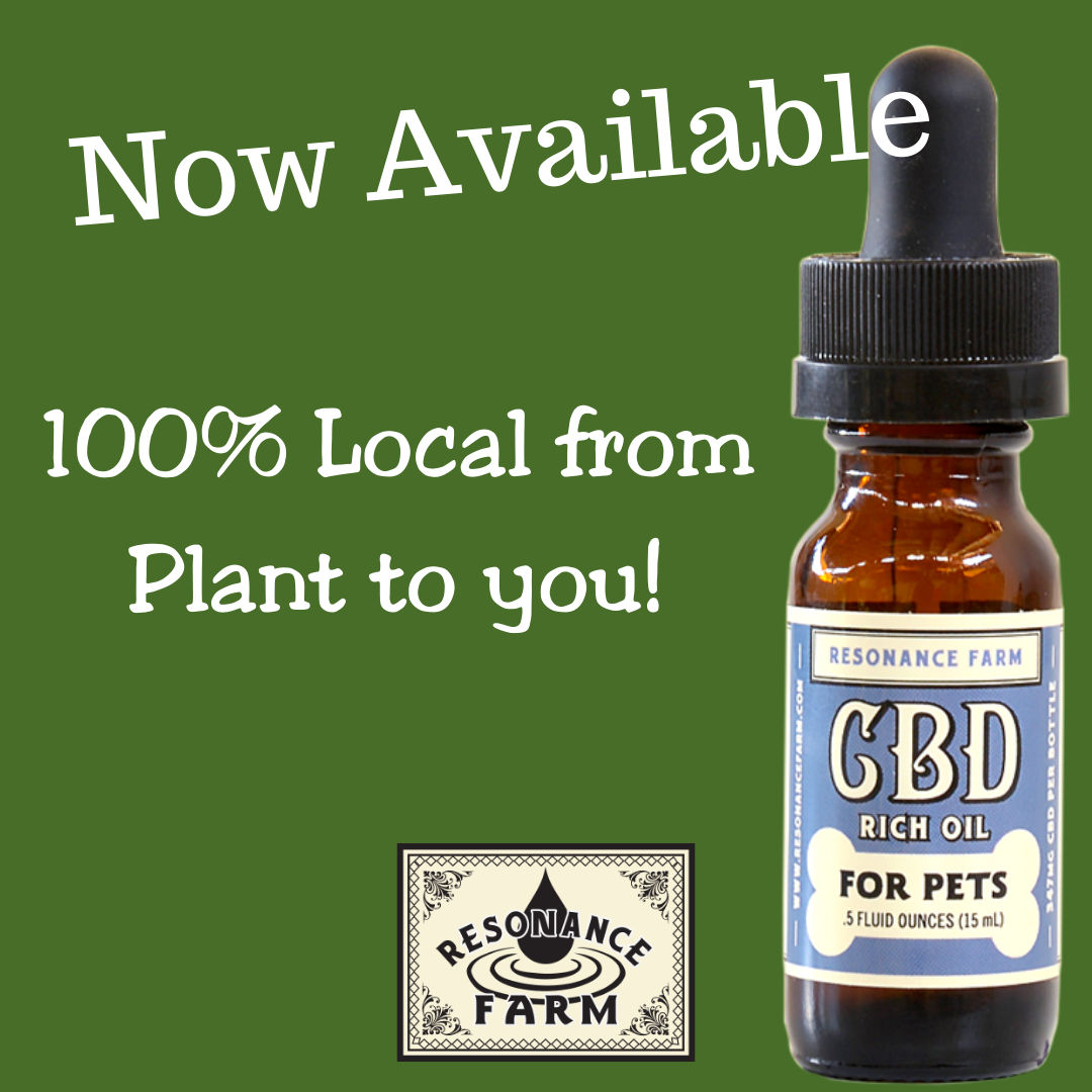 NEW CBD Product