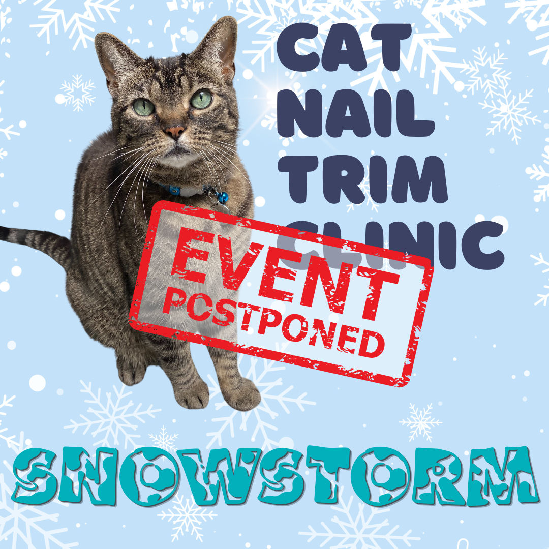 Image of Local Pet Event *Cat* Monthly Nail Trim Clinic Nearby