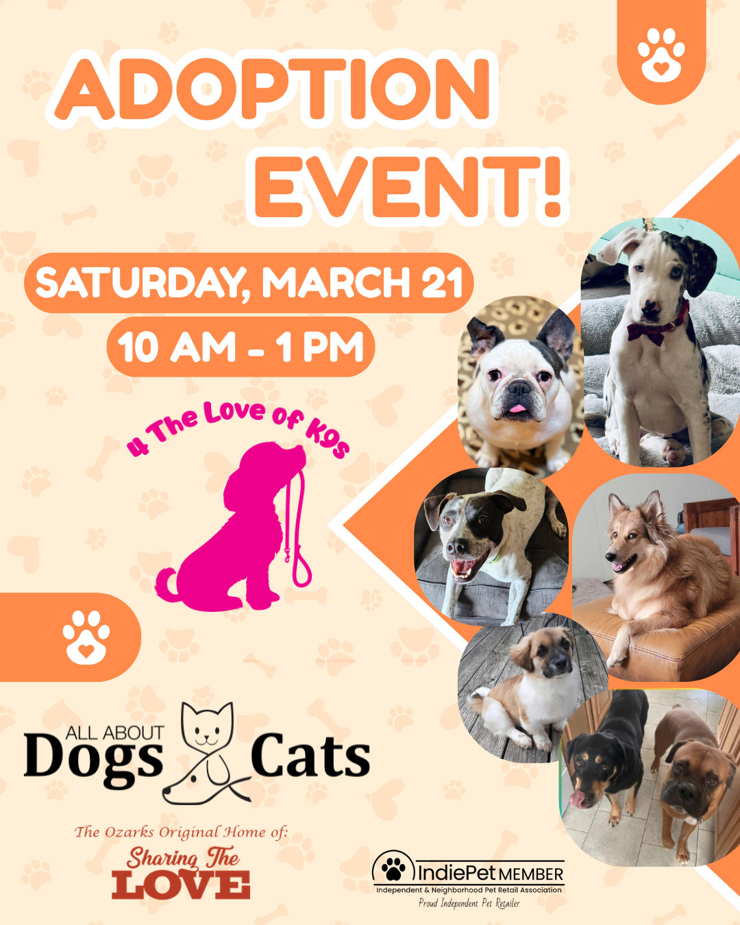 Image of Local Pet Event Adoption Event Nearby