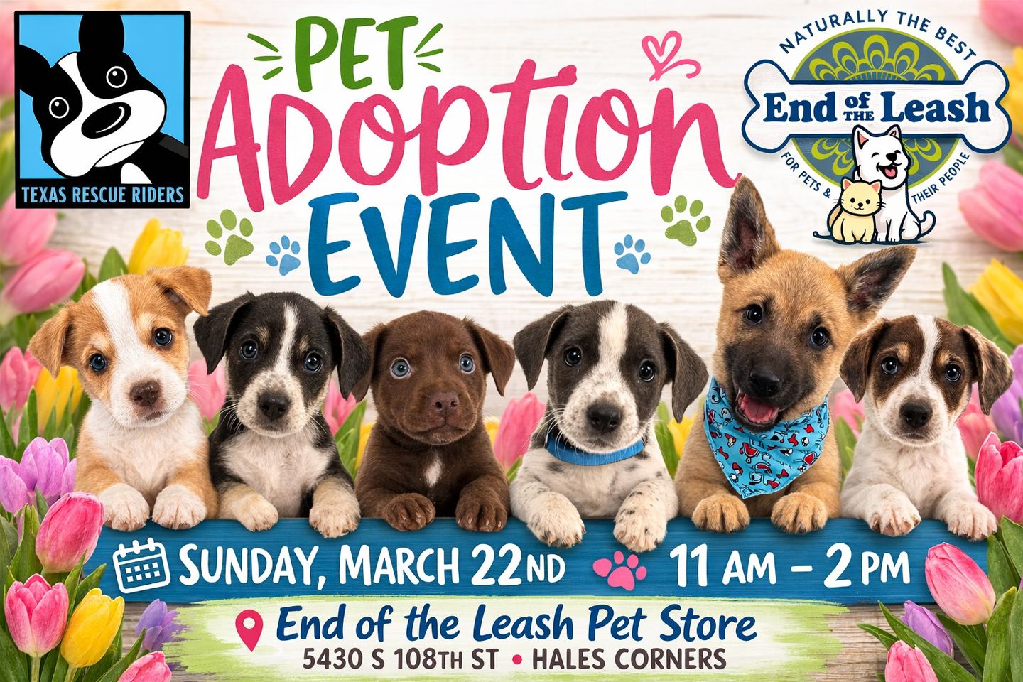 Image of Local Pet Event Texas Rescue Riders Adoption Event HALES CORNERS Nearby