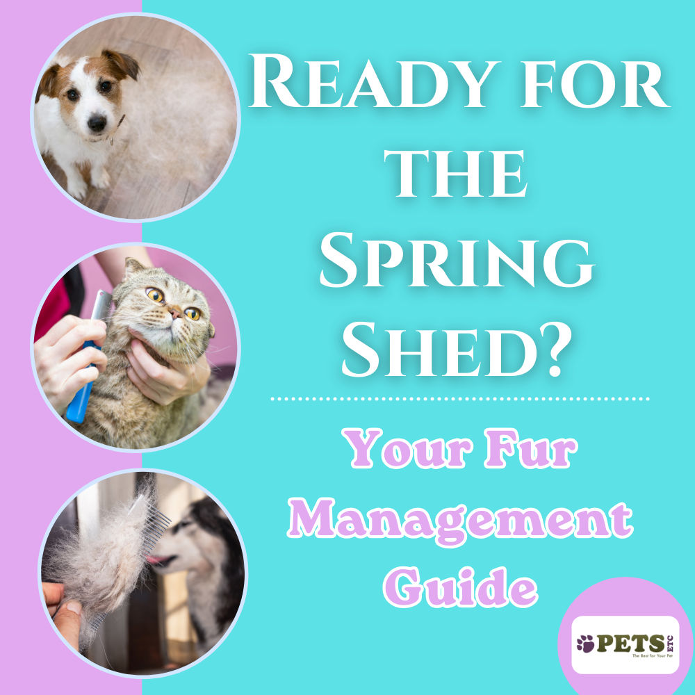 Ready for the Spring Shed? Your Fur Management Guide