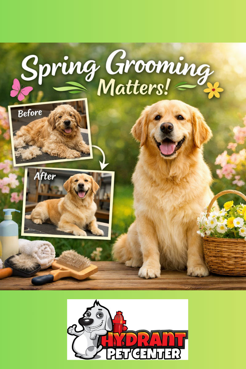 Spring means sunshine, fresh air… and a whole lot of shedding