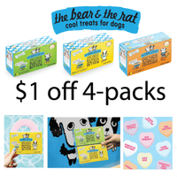 Image of The Bear and the Rat | $1.00 OFF Frozen Yogurt 4-Packs Promotion in Ames