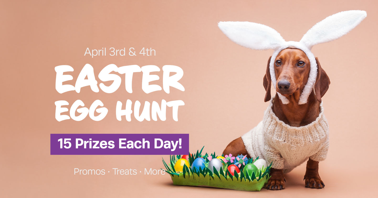 Image of Local Pet Event Easter Egg Hunt at Fetching Dog! Nearby