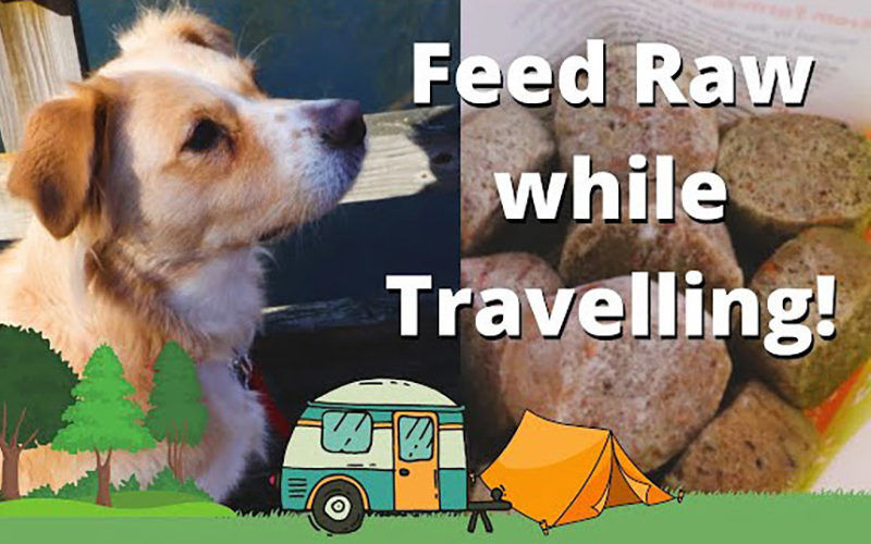 Feeding a Raw Diet While Traveling/Small Batch