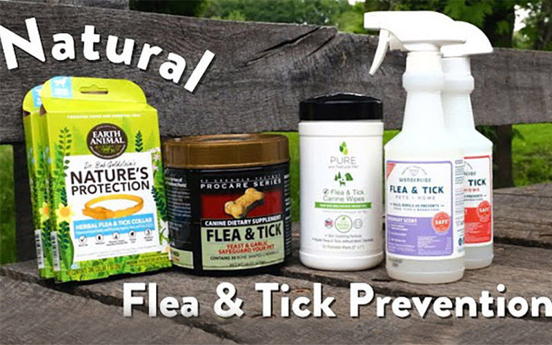 Flea and Tick Prevention