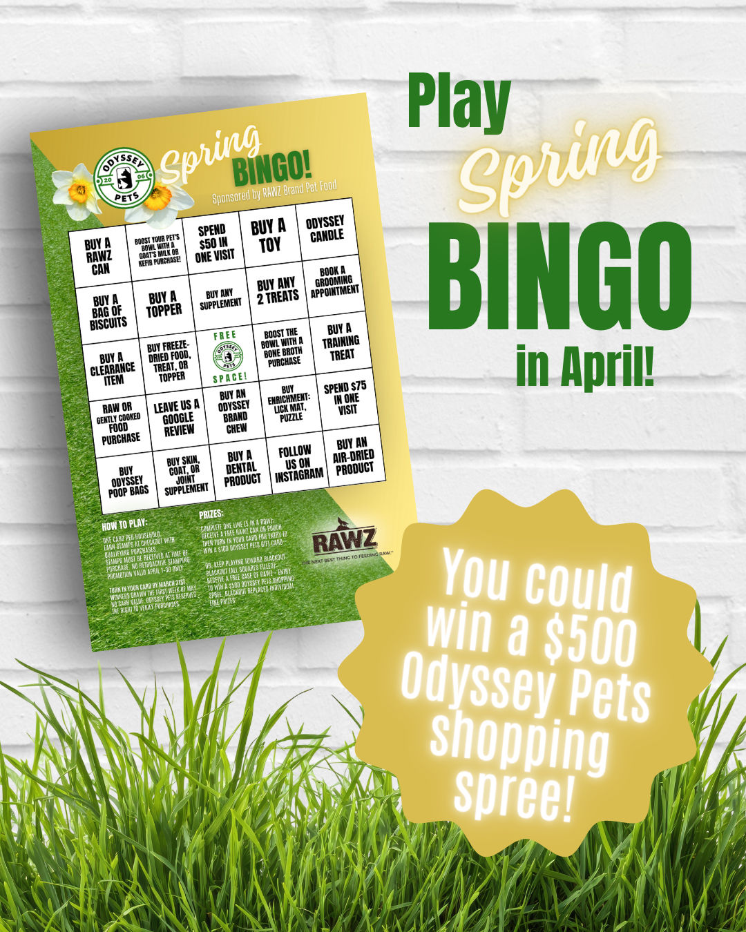 Image of Local Pet Event Spring Bingo! Nearby