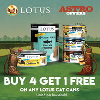 Image of LOTUS | Buy 4, Get 1 FREE on Lotus Cat Cans Promotion in Jersey City