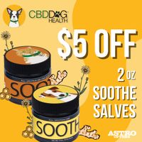 Image of CBD Dog Health | $5.00 OFF 2oz SOOTHE Salves Promotion in Irwin
