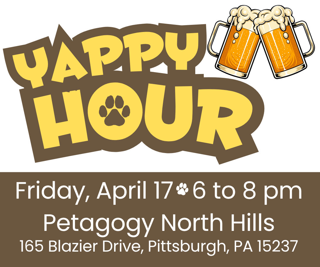 Image of Local Pet Event Yappy Hour Nearby