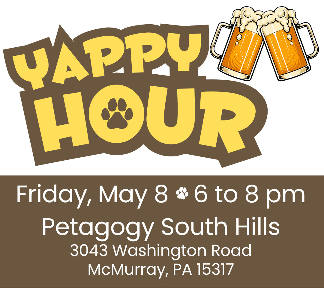 Image of Local Pet Event Yappy Hour Nearby
