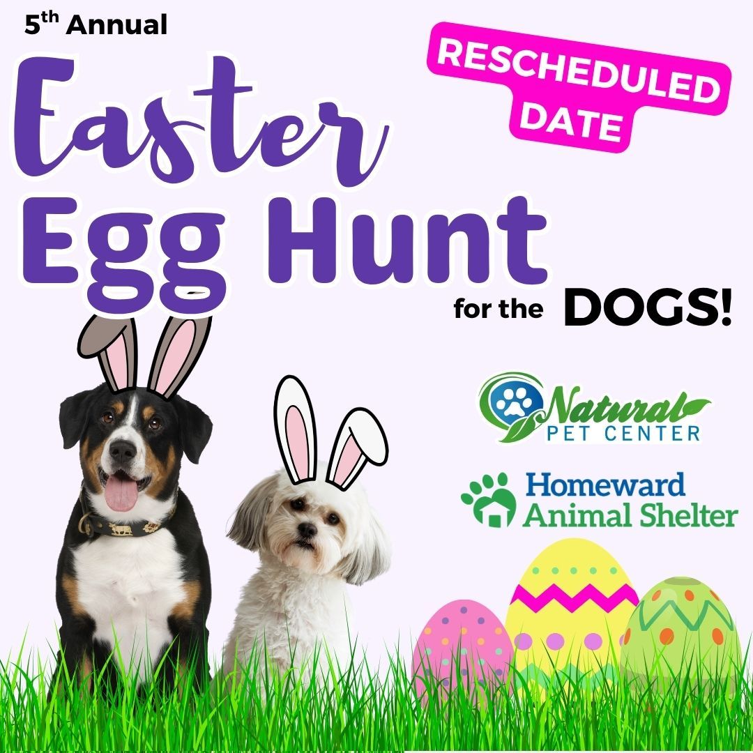 Image of Local Pet Event 5th Annual Easter Egg Hunt for the Dogs! Nearby