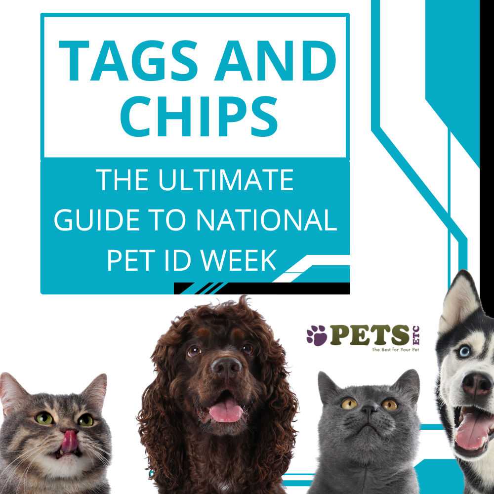 Tags and Chips: The Ultimate Guide to National Pet ID Week