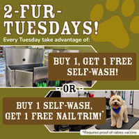 Image of 2-Fur-Tuesdays! | Dog Self Wash Special at Sam's - Redmond Promotion in Monroe