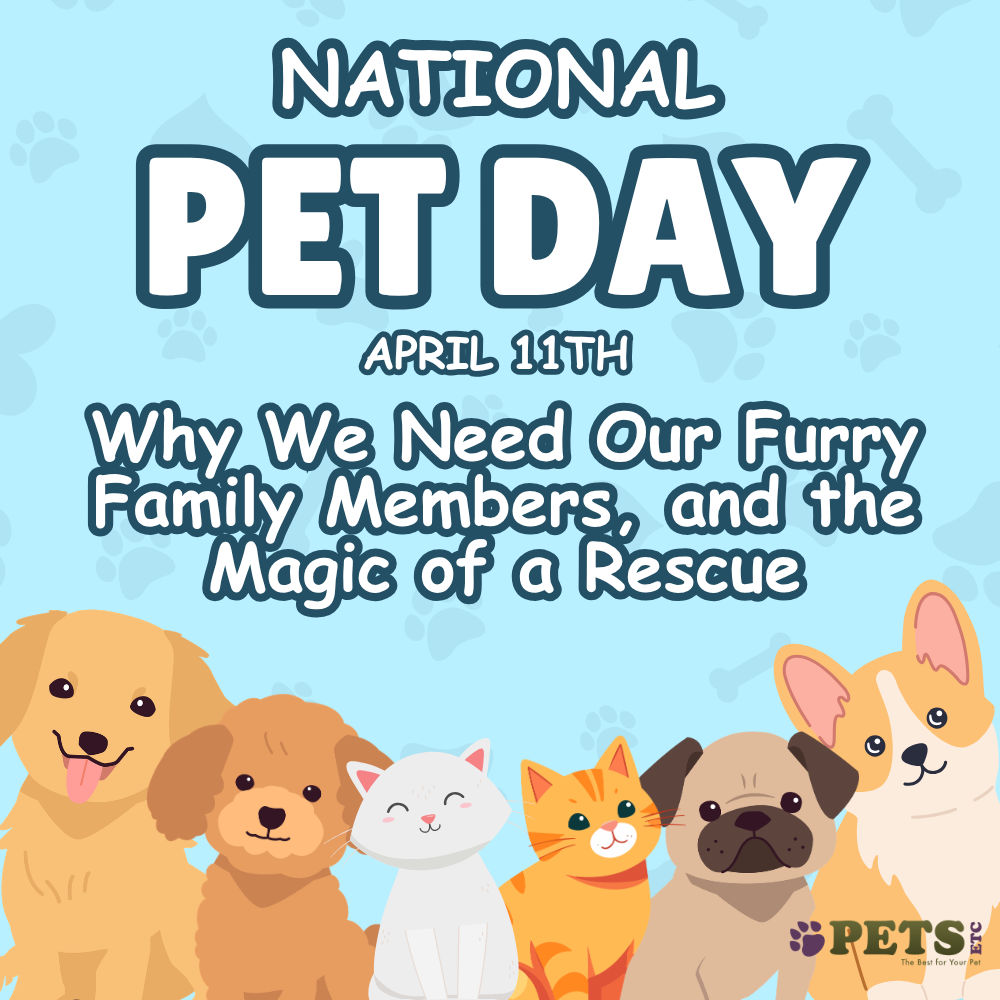 National Pet Day: Why We Need Them, and the Magic of a Rescue