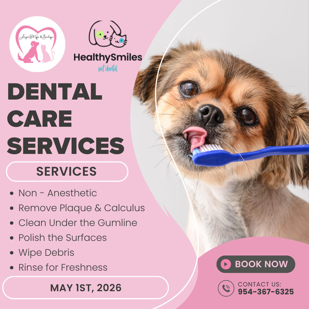 Image of Local Pet Event Non - Anesthetic Pet Dental Nearby