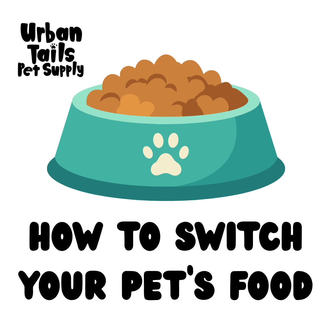 How Do I Transition My Pet's Food?