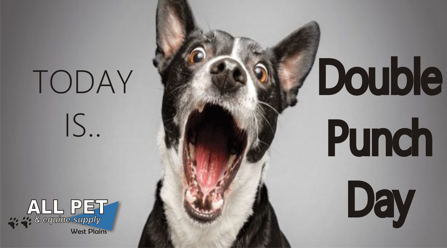 Image of Local Pet Event DOUBLE PUNCH DAY APRIL 2026 Nearby