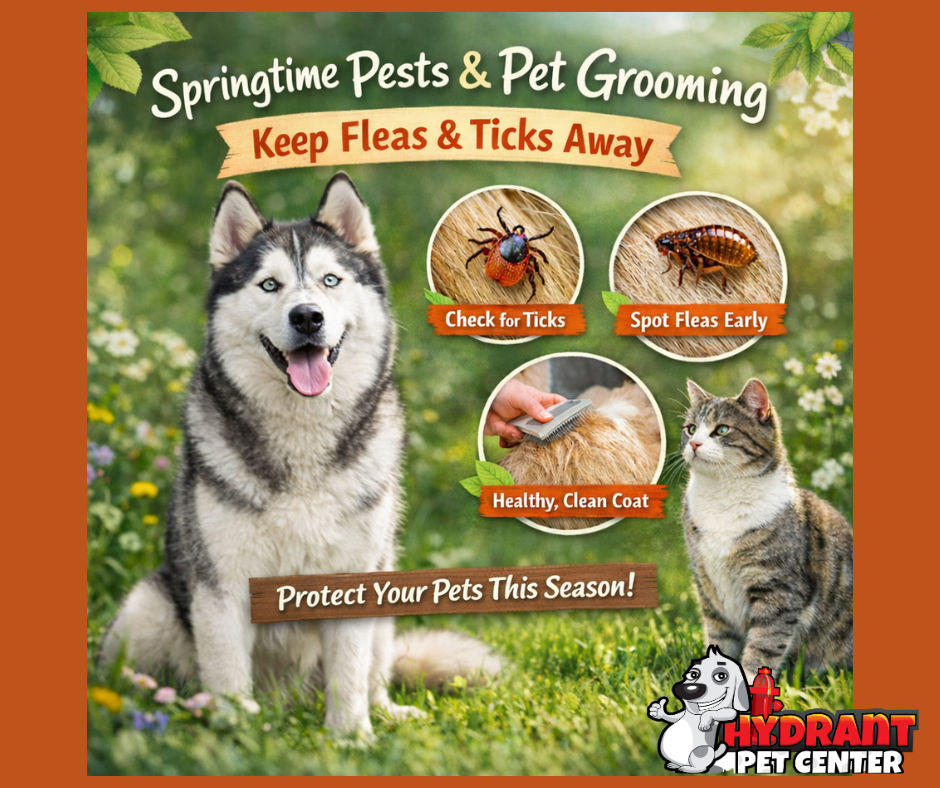 Spring Is Here — Let’s Talk Fleas, Ticks & Why Grooming Matters