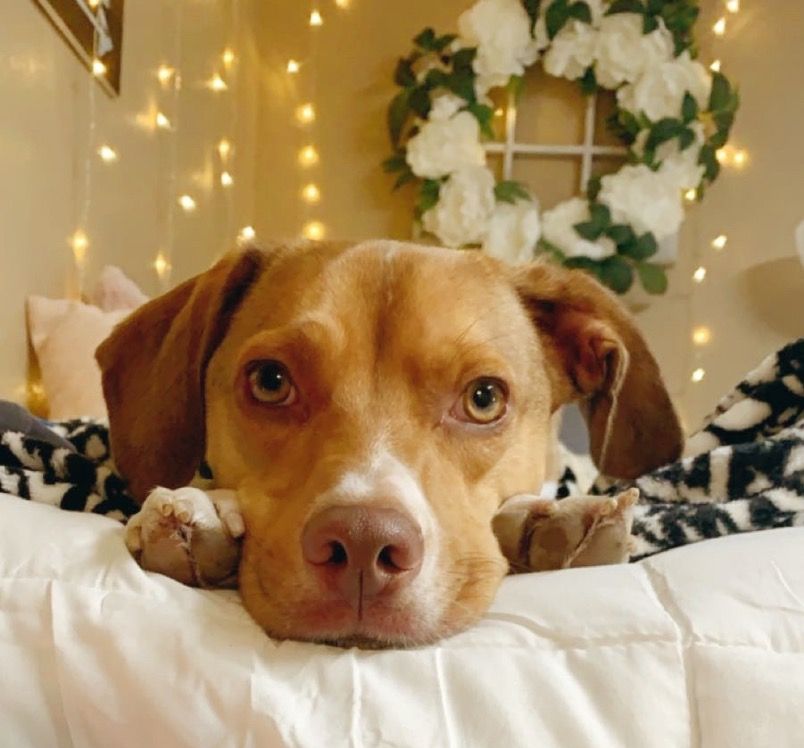 Max