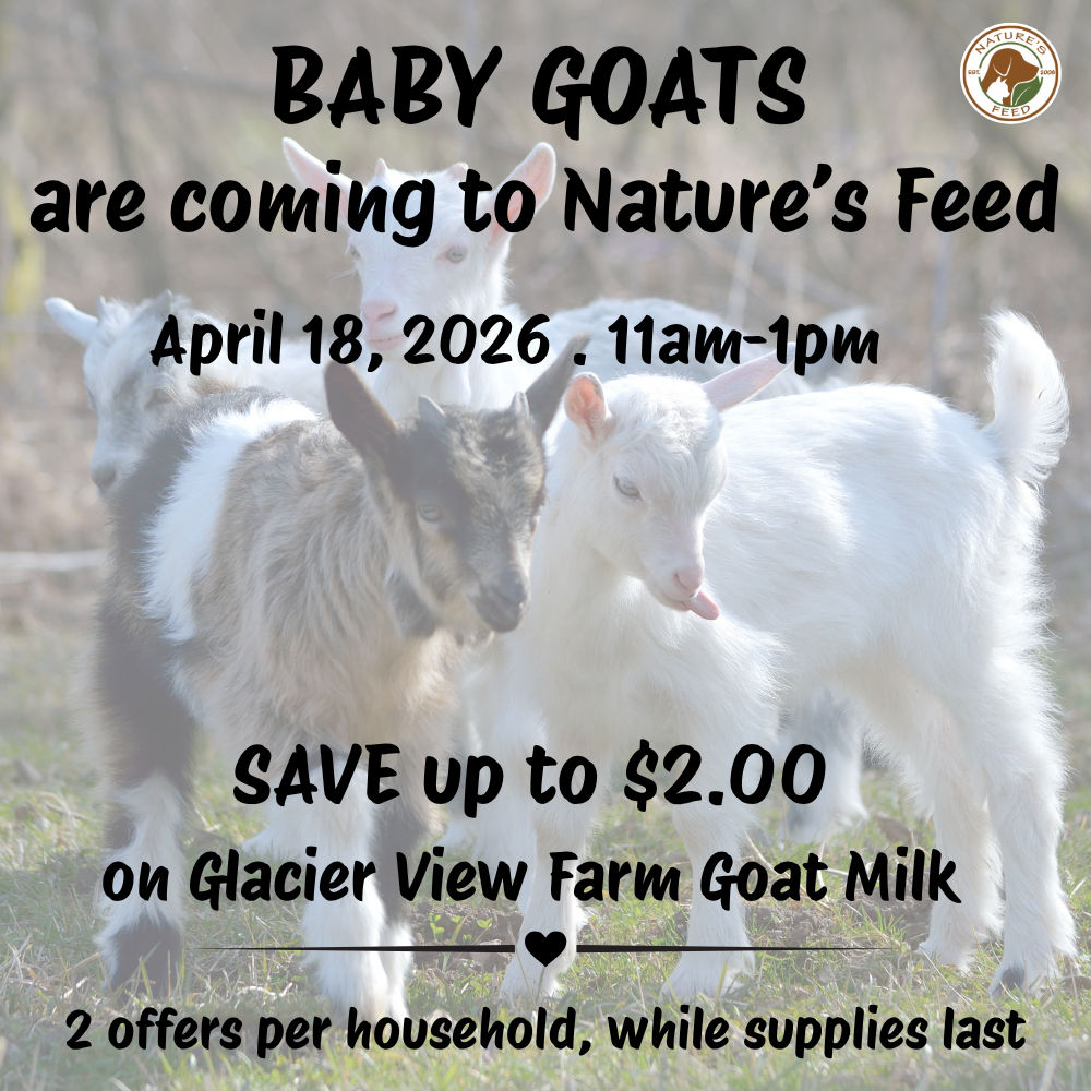 Image of Local Pet Event Come meet baby goats! Nearby