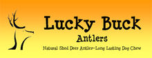 Lucky Buck Antlers Dallas Texas