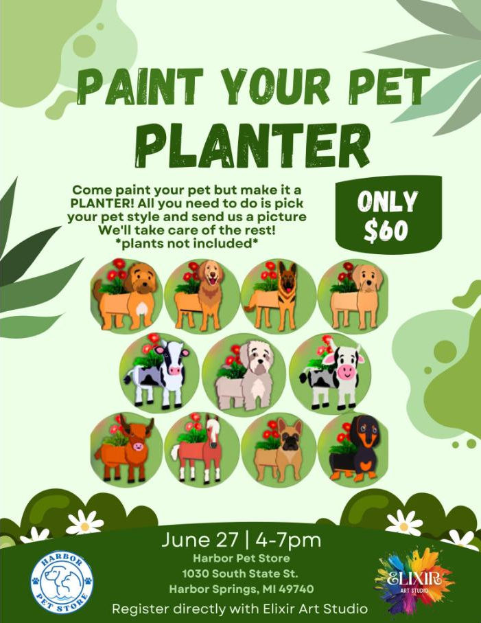 Image of Local Pet Event Paint Your Pet PLANTER! Nearby