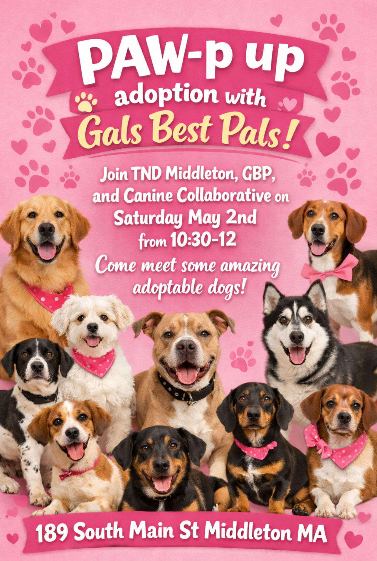 Image of Local Pet Event Gal's Best Pal Adoption Pop Up Nearby